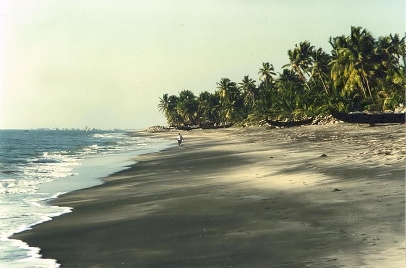 Thottappally Beach | Beaches in Alleppey