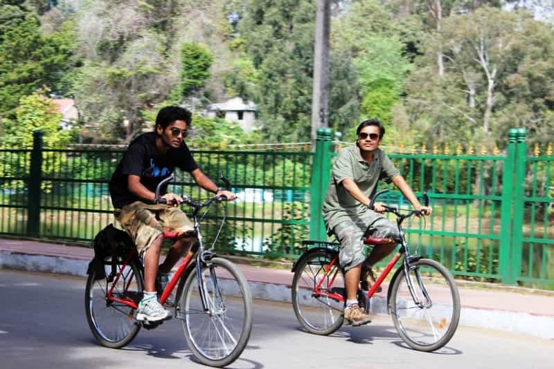 Tourists on cycles