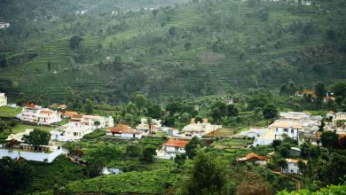 Trekking Places In & Around Kodaikanal
