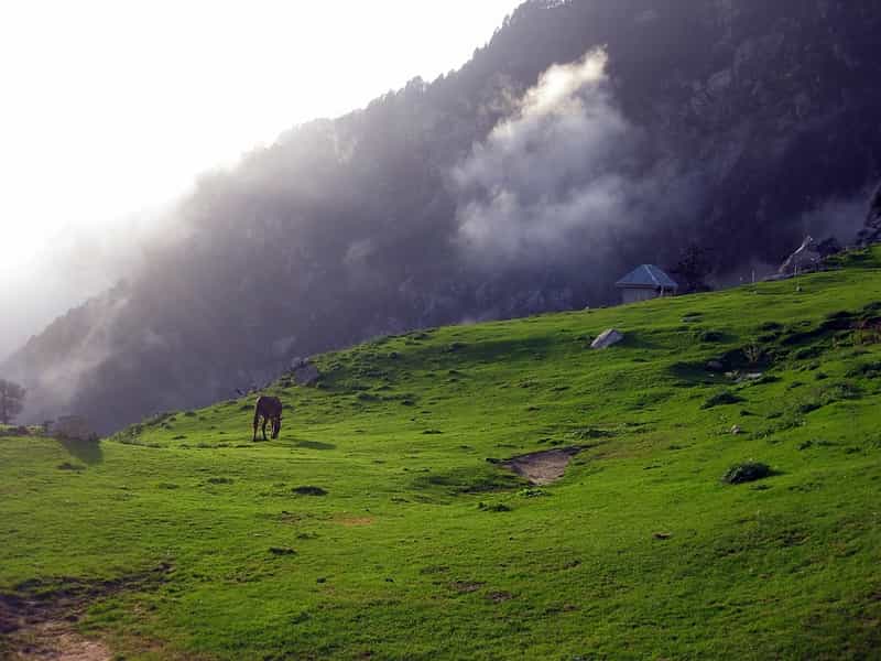 Triund in Dharamshala