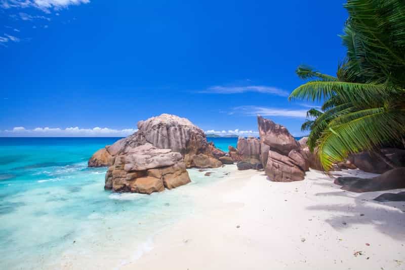Scenic Seychelles