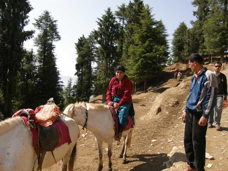 Horse Riding in Dalhousie