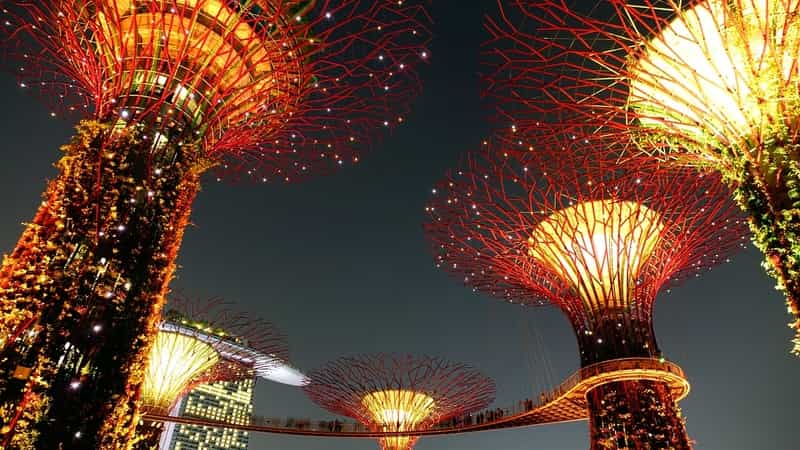 Visit the Garden by the Bay in Singapore