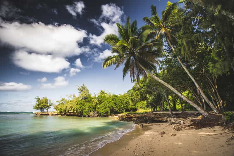 Explore the lovely beaches of Hawaii