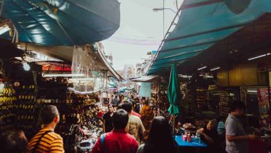 Mount Abu Food Feature