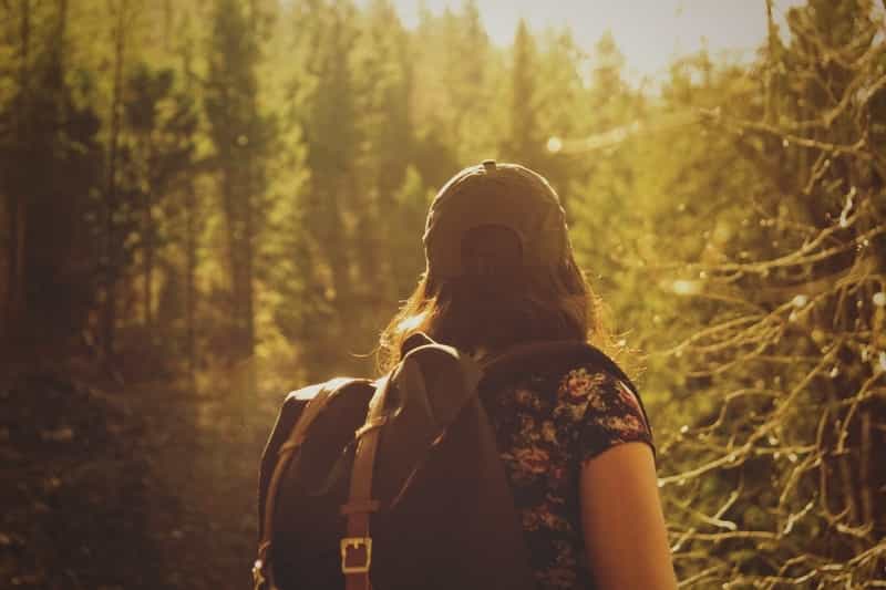 Trek Through The Gorgeous Hills in Sikkim