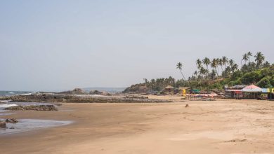 11 Splendid Beaches Near Ahmedabad