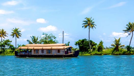 Image result for ALLEPPEY
