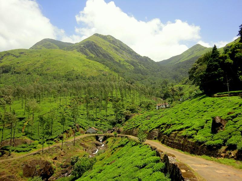 Wayanad