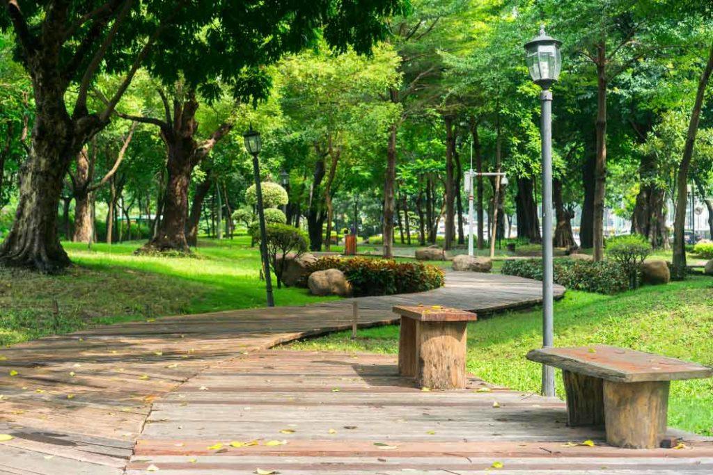 One of the very stunning places to visit in Pondicherry: Botanical Gardens