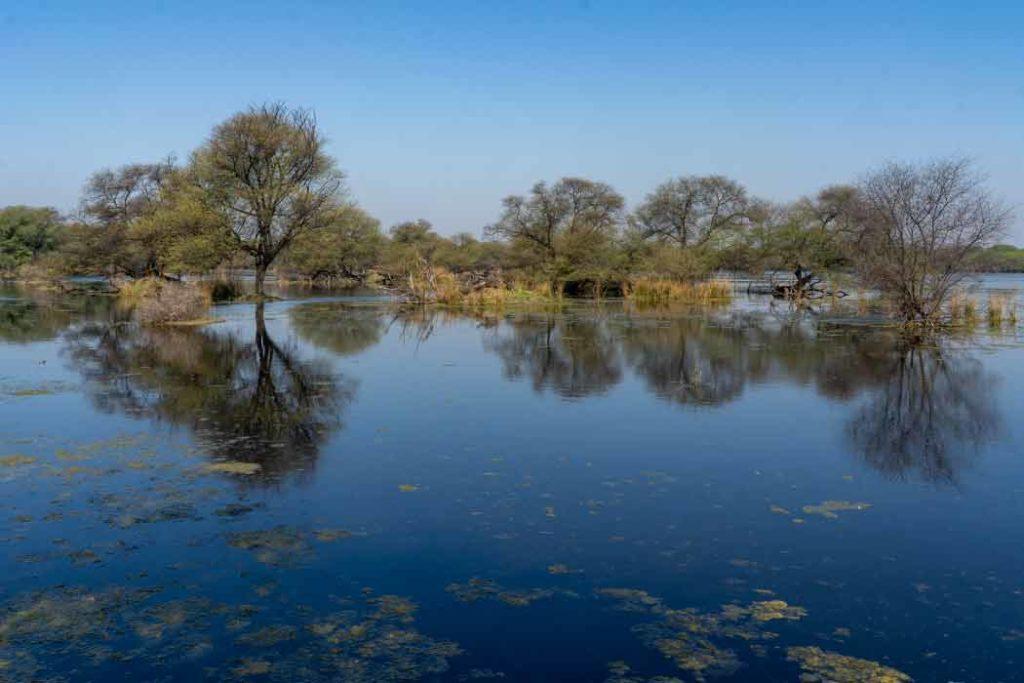 Witness birdwatching in weekend getaways near Agra.