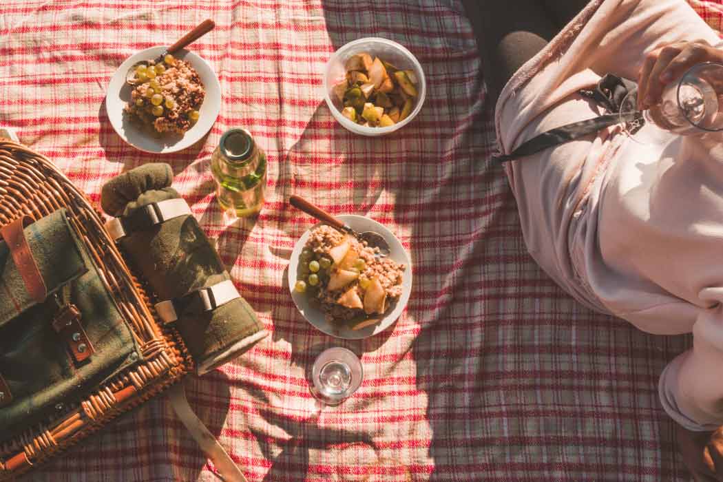 A fun picnic is all she needs 