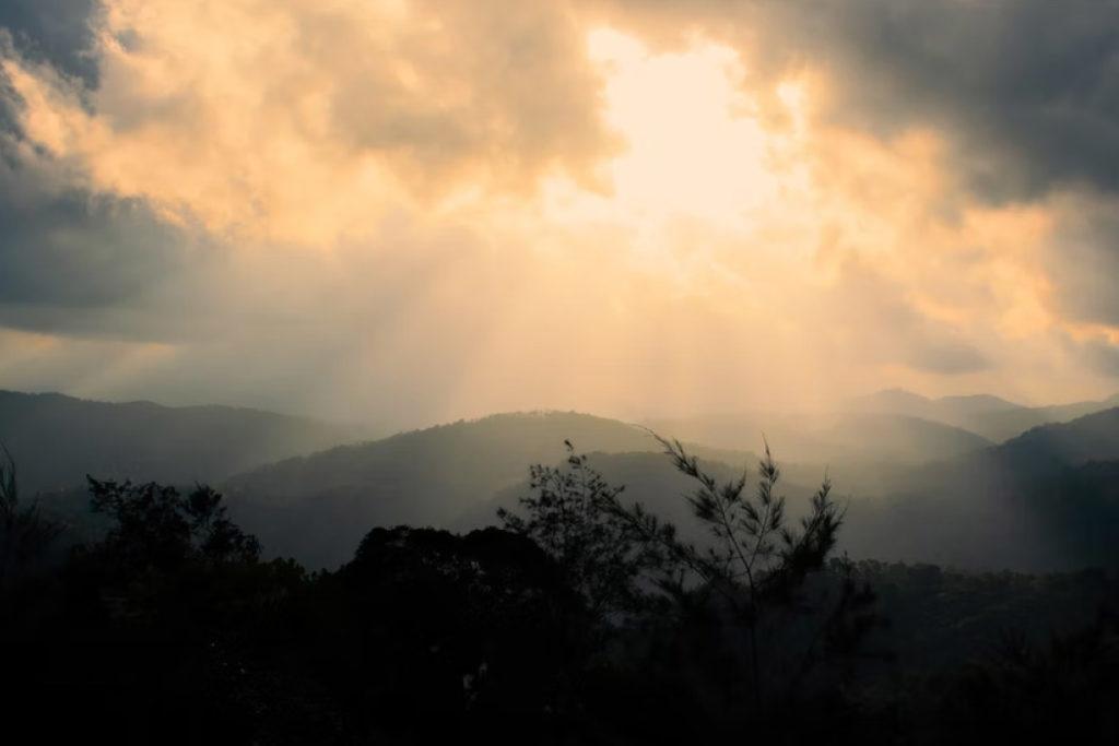 Nature at its best at Thekkady during visits to hill stations in Kerala.