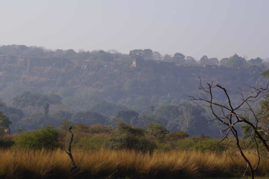 Aravalli Biodiversity Park is one of the best places to visit in Gurgaon