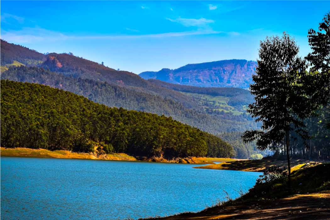 The serene Nyayamakad Waterfall﻿ while visiting the best places to visit in Munnar.