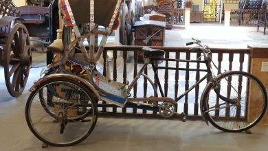 Explore the historic museum in Goa