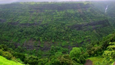 Best Things to Do in Lonavala