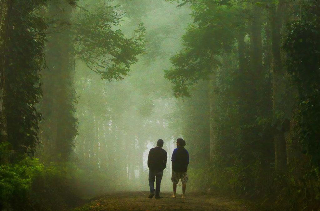 Coorg Best Time to Visit: The Perfect Season to Make Memories in the ...