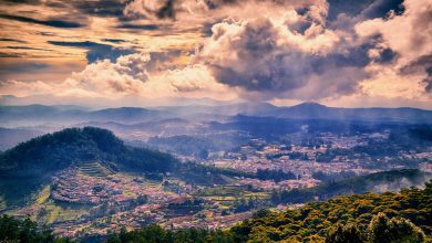 Best time to Visit Ooty