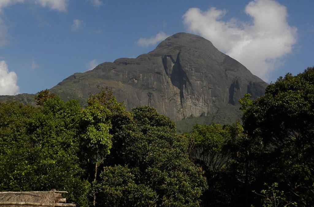 Agasthyamalai Biosphere Reserve, Tamil Nadu