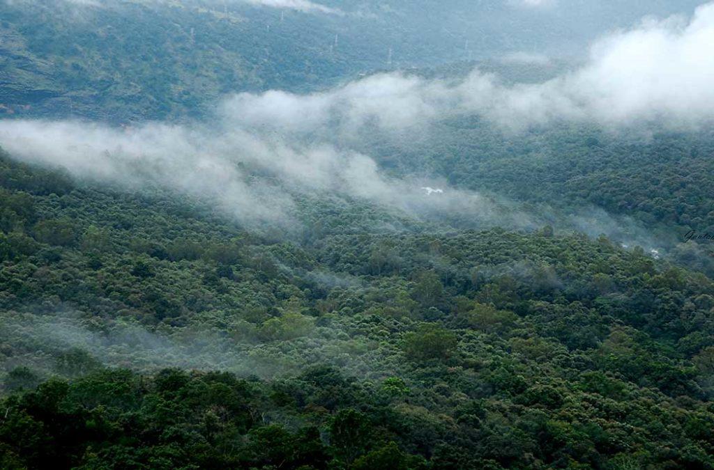 Lush green of Valparai in the Western Ghats