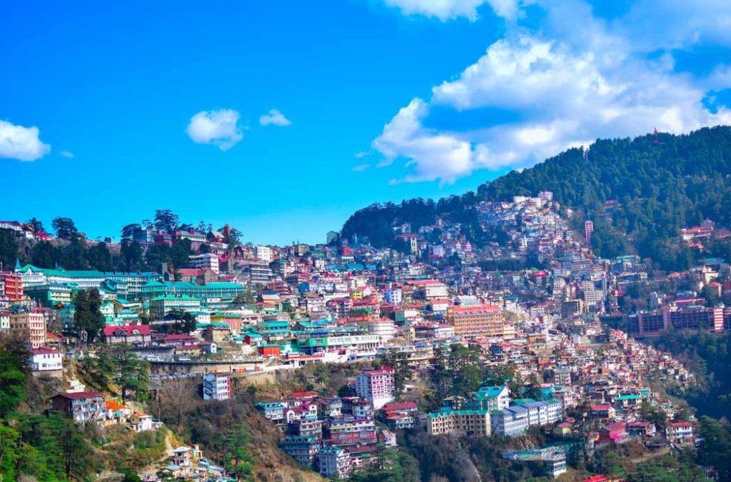 Apple Orchards in Shimla