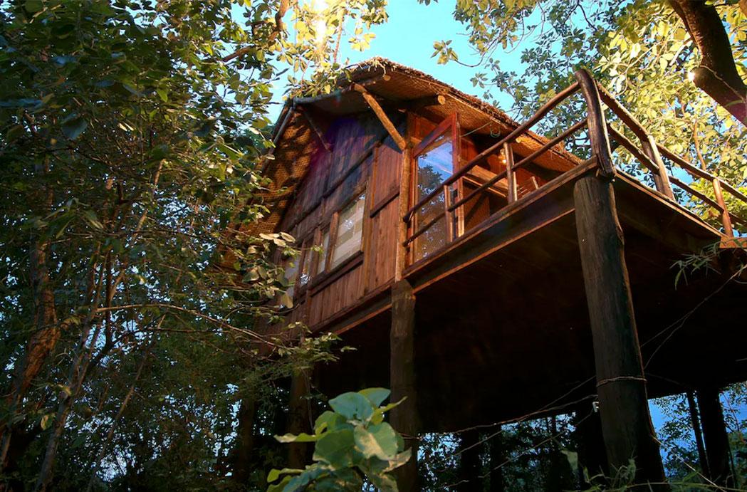 Tree House Inida Into the Lap of Nature: 15 Enchanting Tree Houses in India - Treebo Blog