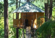 Tree houses in India