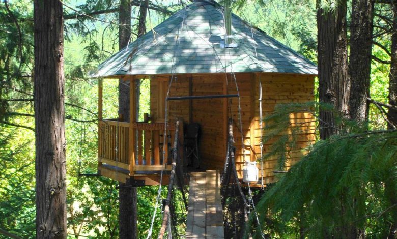 Tree houses in India