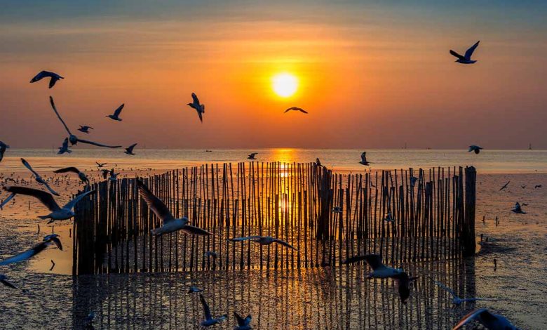 bird sanctuaries in india