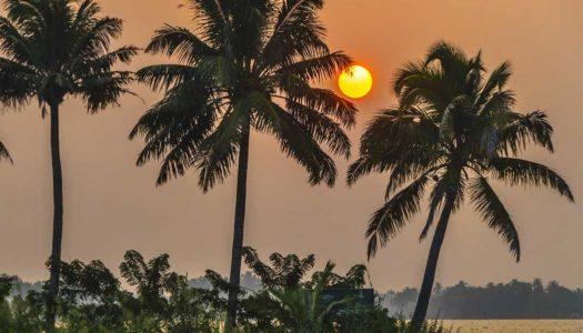 Munroe Island in Kerala: A Serenade of Backwaters and Delight