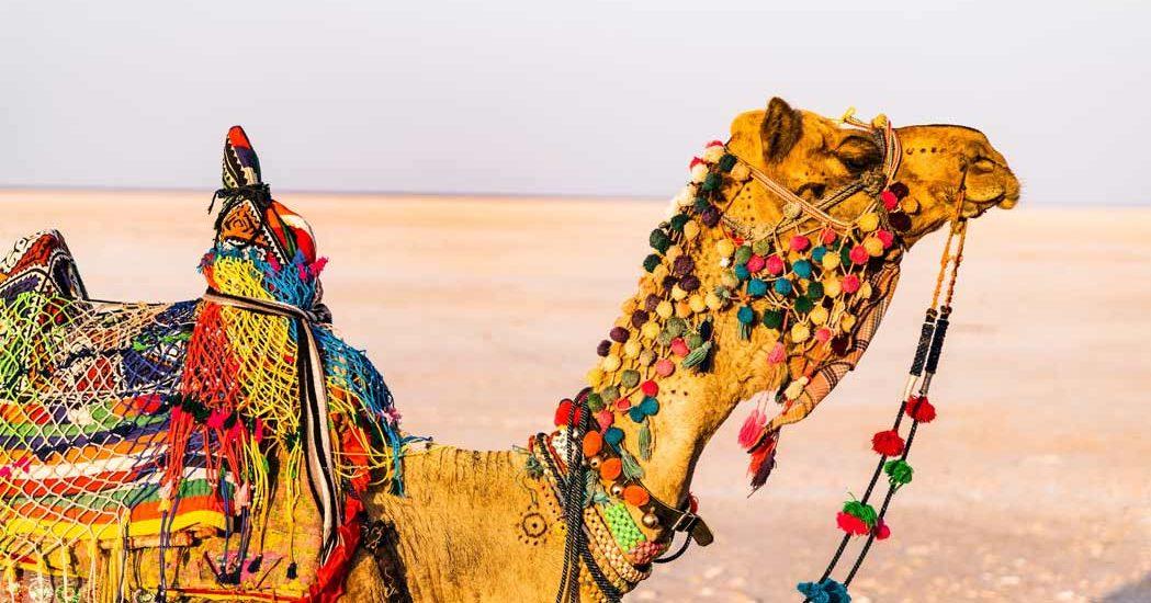 Best time to visit Rann of Kutch