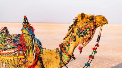 Best time to visit Rann of Kutch