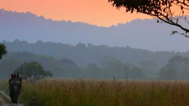 jim corbett national park