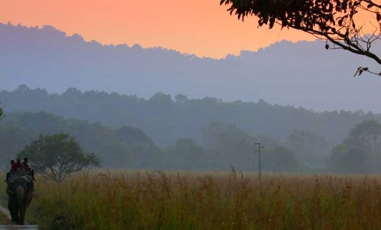 jim corbett national park