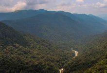 Hill Stations in Andhra Pradesh