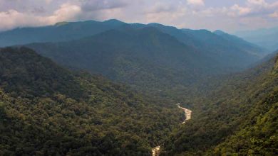 Hill Stations in Andhra Pradesh