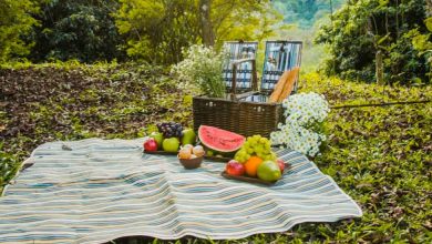 Picnic Spots Near Pune