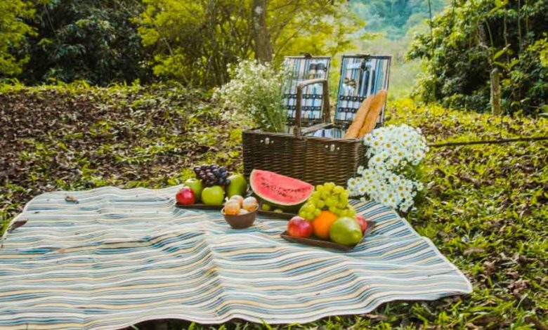 Picnic Spots Near Pune