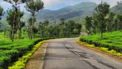 Places to Visit in Valparai
