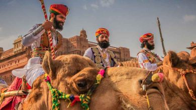 Attend the magnificent Bikaner Camel Festival in 2024