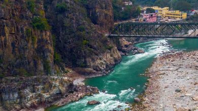 Check out amazing places to visit in Auli for a splendid vacation