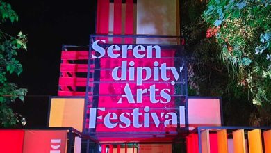 Check out the complete guide to attend Serendipity Arts Festival in Goa