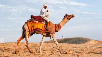 Experience the best desert safari in India