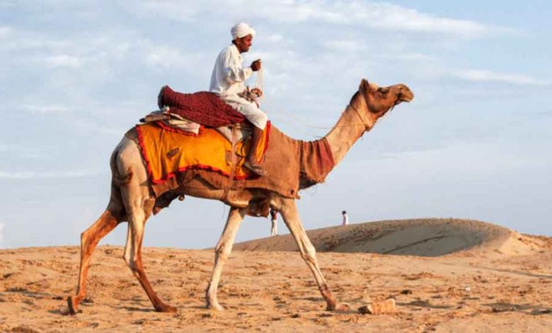 Experience the best desert safari in India