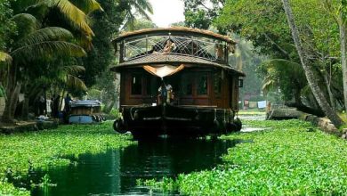 Places to visit in Kerala in December