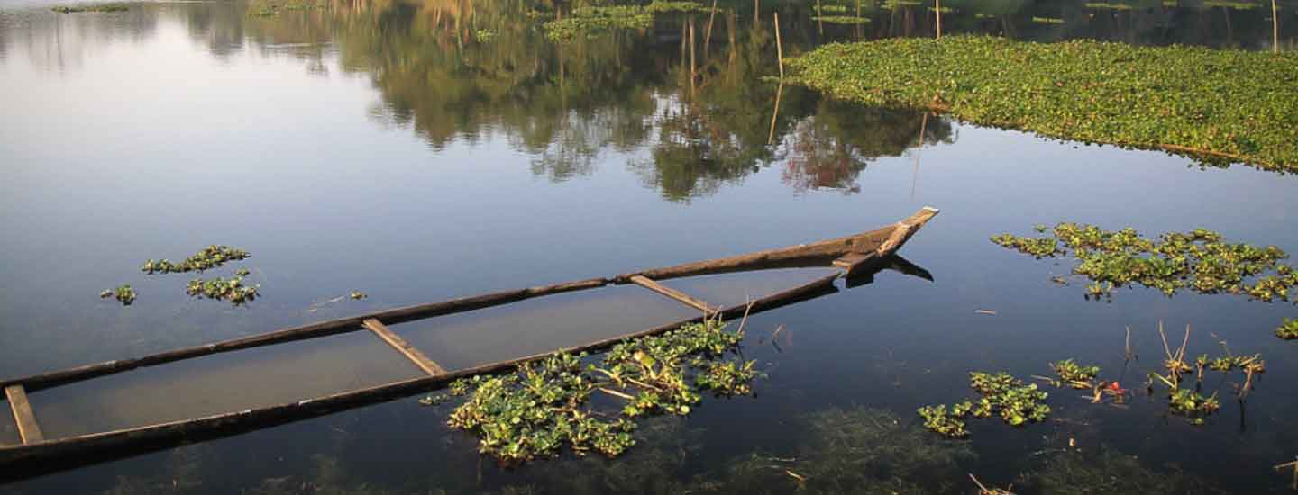 Majuli—the world's largest river island might just disappear in the future