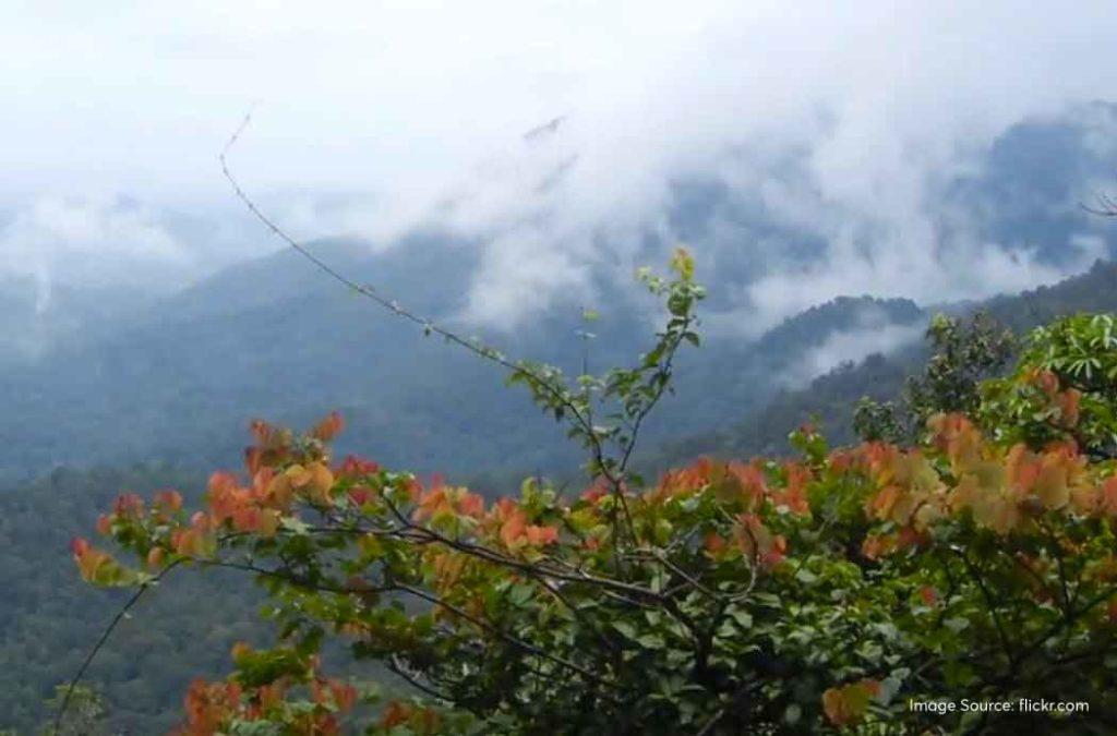 places to visit in summer in South India