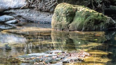 Discover Mawlynnong with this travel guide