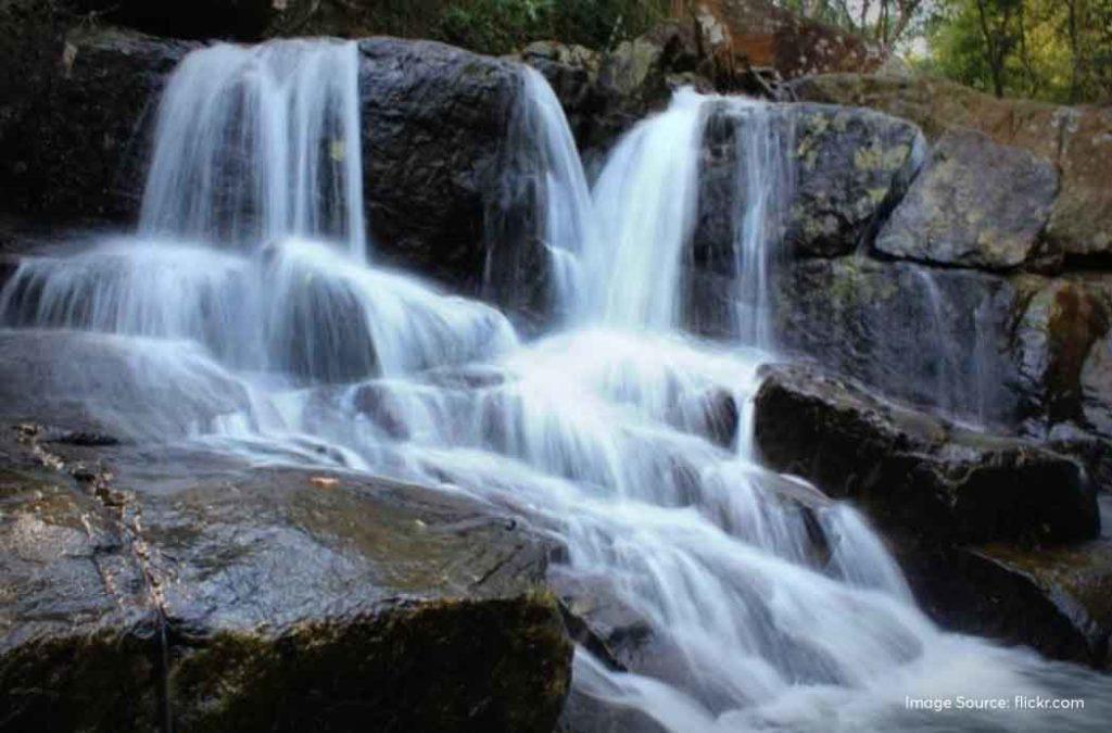 Maredumilli, Andhra Pradesh: Here’s Where You’ll Find The Best Bamboo ...